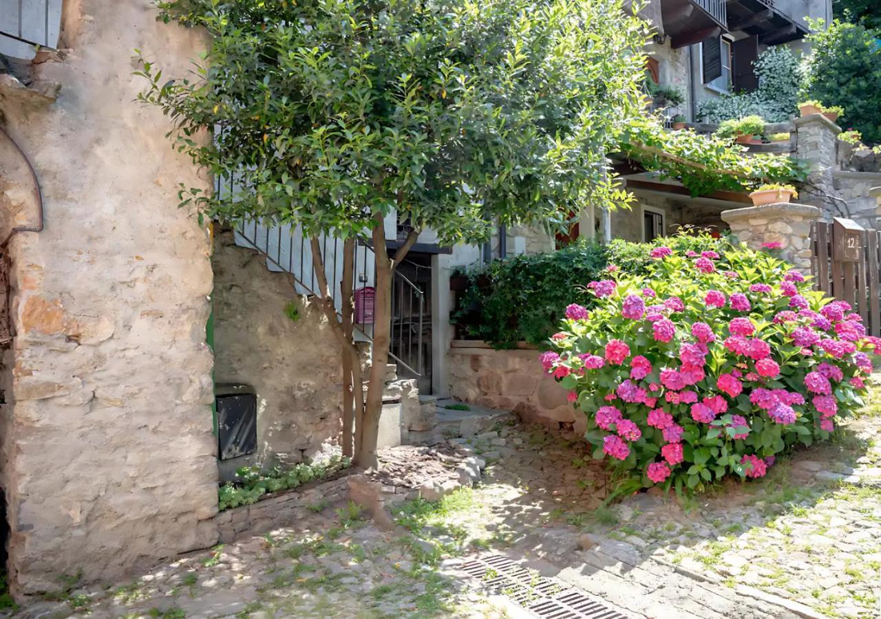 Casa Del Borgo: Appartamento Immerso Nel Verde A/C Беллано Екстер'єр фото